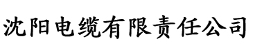 大香蕉免费在线影院电缆厂logo